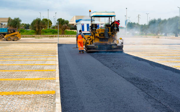 Best Driveway Pavers Near Me  in Dovesville, SC