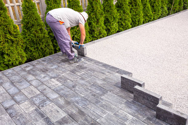 Best Local Driveway Pavers  in Dovesville, SC
