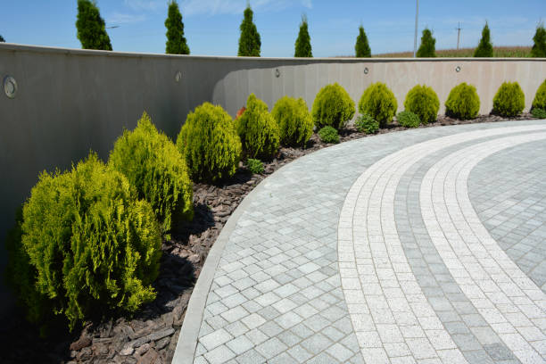 Best Residential Paver Driveway  in Dovesville, SC